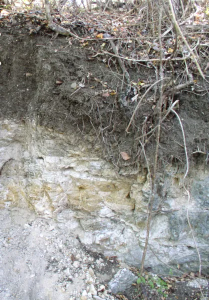 soilProfile mollisol Aguilita